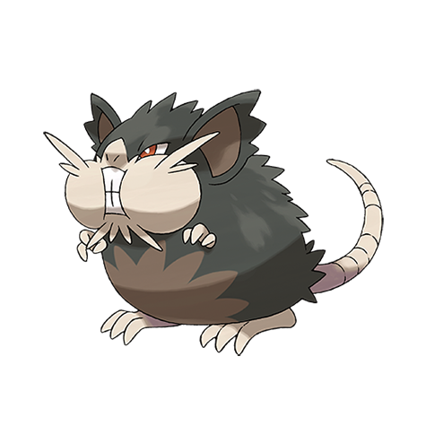 Raticate-Alola