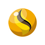 Raichunite Y