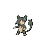 Rattata-Alola